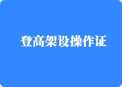 大吊干嫩逼登高架设操作证